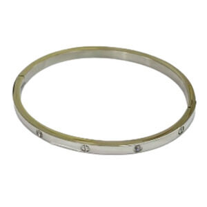 Stainless Steel Bangle Bracelet